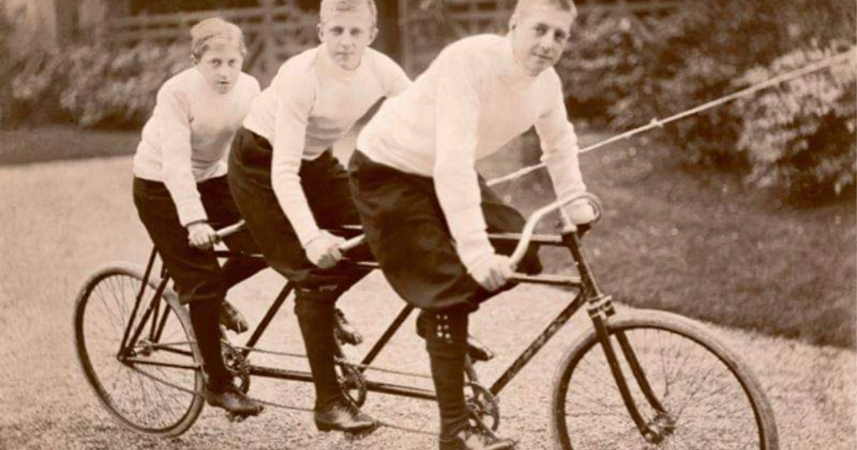 Wikipedia Family Bike