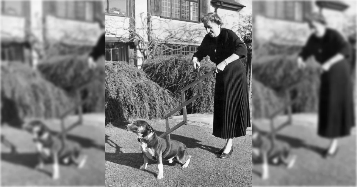 Wikipedia Dog Restraining Device