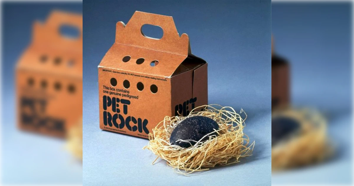 Pet Rock The Pet Rock