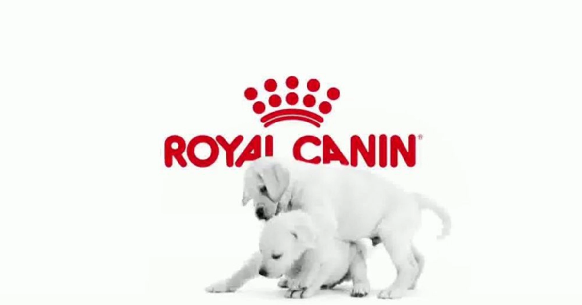 Royal Canin