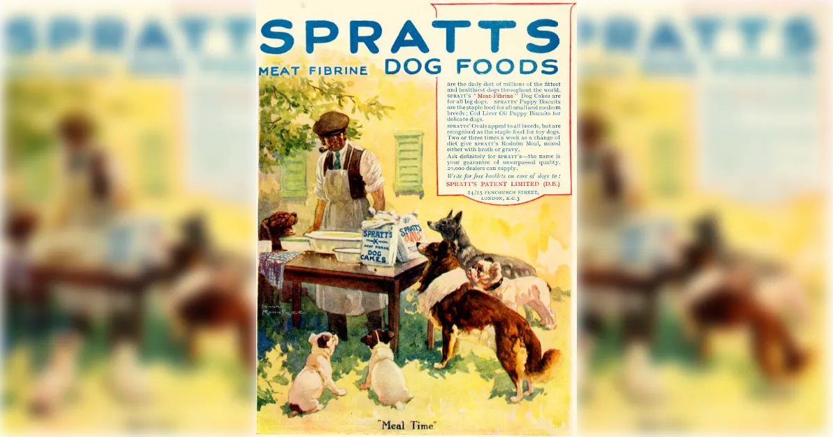Spratt's Spratt's Dog Foods Meal Time ad showing man feeding several dogs