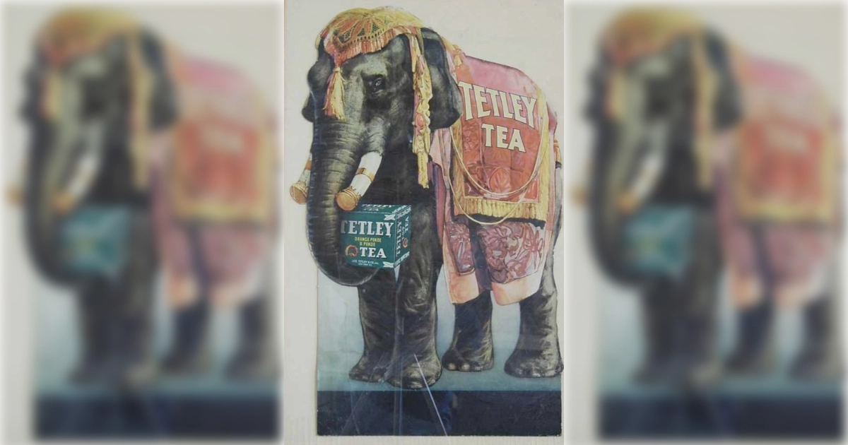 © History Oasis Tetley Tea