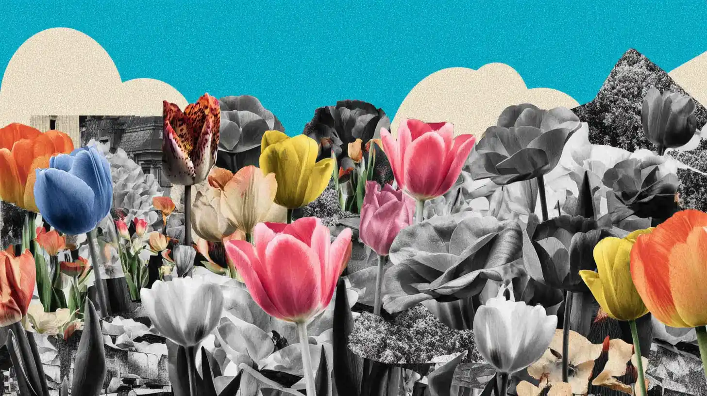 Tulip Mania Peak July 23 1637