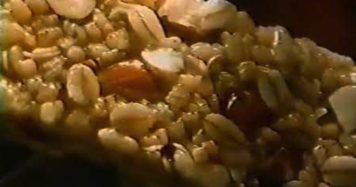Mars, Inc. Close-up of an uncoated granola bar packed with oats, rice crisps and peanuts