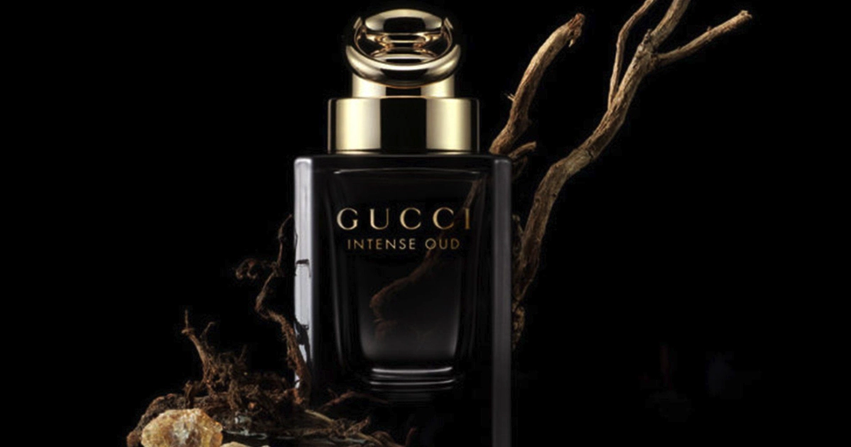 Gucci Oud Intense