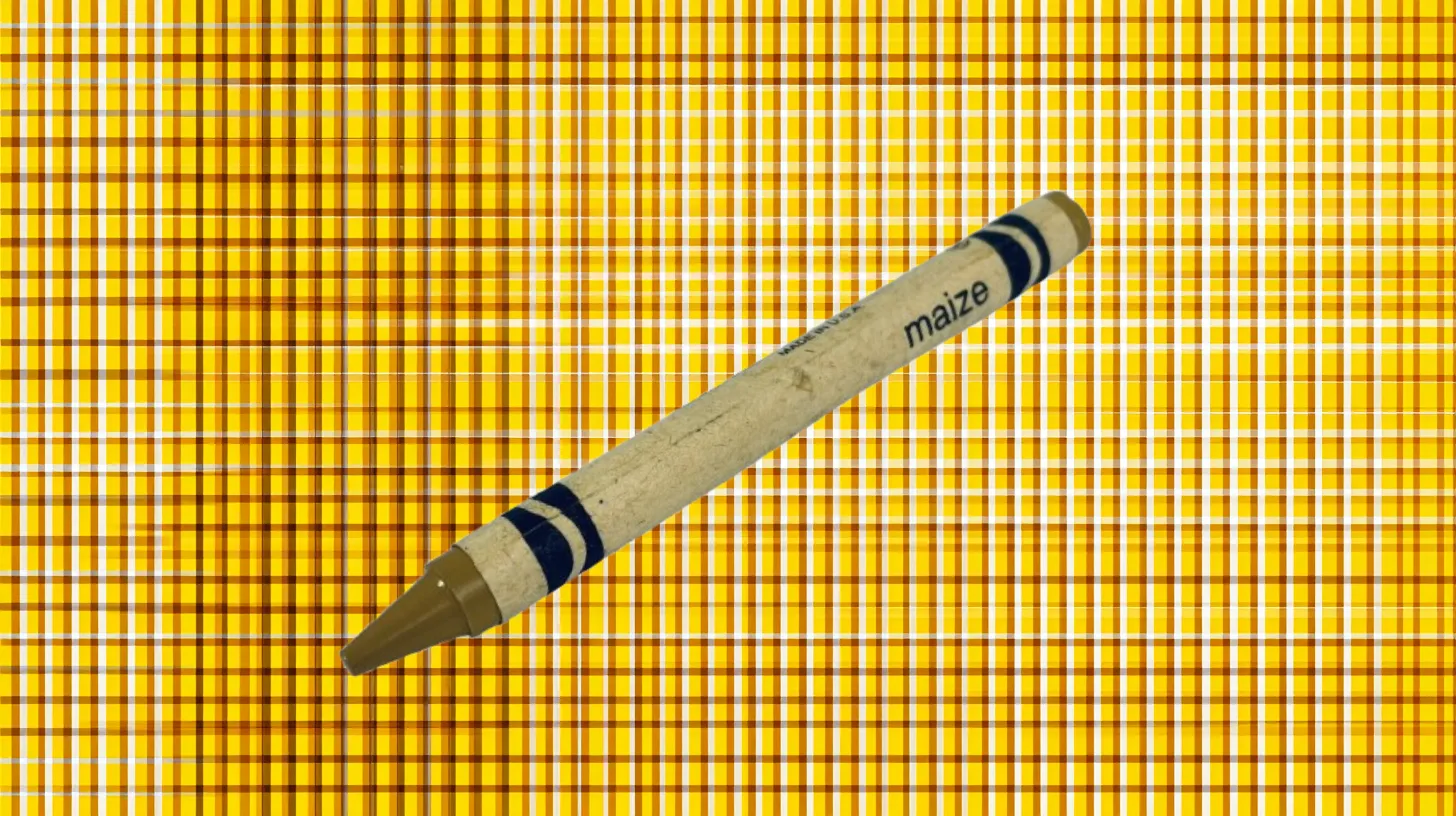 Crayola Maize crayon with cream wrapper and golden tan tip