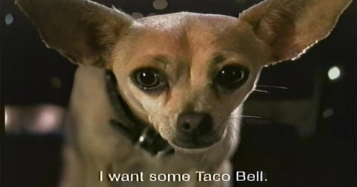 Gidget delivering the line that built the campaign — Taco Bell The Taco Bell Chihuahua mascot Gidget in a commercial still captioned “I want some Taco Bell.”