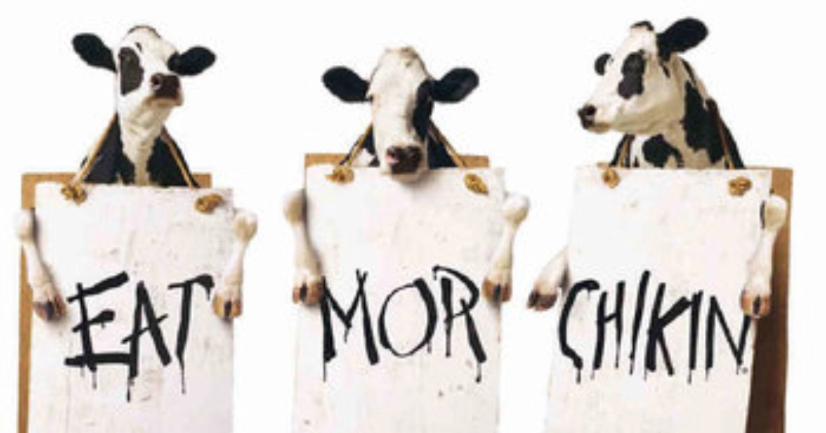 The Chick-fil-A cows lobbying for their own survival — Chick-fil-A Three Chick-fil-A cows holding hand-painted signs reading “EAT MOR CHIKIN”